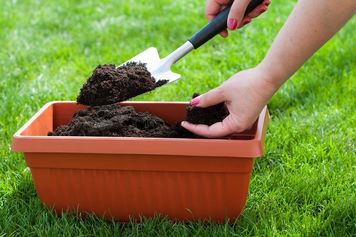 Four Benefits to Garden Soil Delivery